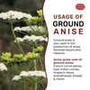 Spicy World Ground Anise Powder 7 Ounce - Anise Seeds