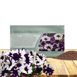 Outsidepride Purple Tie Dye Shock Wave Petunia Seeds - 30 Pcs. Annual, Compact & Spreading Flower Seeds for Planting Low Growing Vibrant Blooms, Garden Beds, Hanging Baskets & Container Displays