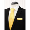 HISDERN Lot 3 PCS Classic Men's Silk Tie Set Necktie