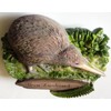 Kiwi NEW ZEALAND Resin 3D fridge Refrigerator Thai Magnet Hand