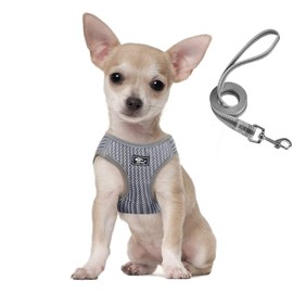SUNGROO Dog Dog Leash with Leash for Medium Sized Dogs Mesh, Breathable, Small Dogs and Cats, Harness Set, Pull Prevention, Adjustable, Reflective Material, Cute (m, Gray)