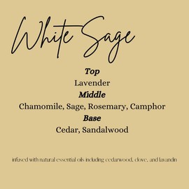 16oz Heavily Scented Carpet Freshener Powder for Pet, Smoke, Dampness and Mildew Odors - Set:_Hibiscus Dew