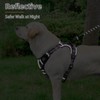 PUPTECK No Pull Dog Harness Small Sized, Adjustable Reflective Dog