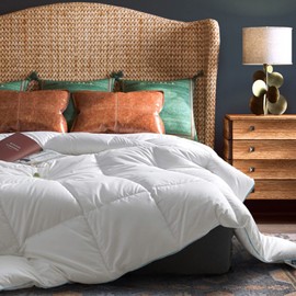 Twin Size Goose Down Comforter - Luxurious All-Season Duvet Insert, Ultra Soft, 850 Fill Power, Fluffy Medium Warmth, Hotel Collection (68"x90", White)