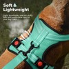 FAYOGOO Dog Harness with Handle & 2 D-Rings, Adjustable Reflective