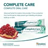 Himalaya Herbals Complete Care Herbal Gum Expert Toothpaste 75ml e