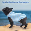3 Pack Blue Striped and Solid Dog T Shirt for