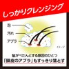 Success Shampoo Volume Up Type
