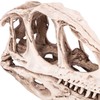 Resin Dinosaur Skull Model Simulated Animal Skeleton Home Office Decor