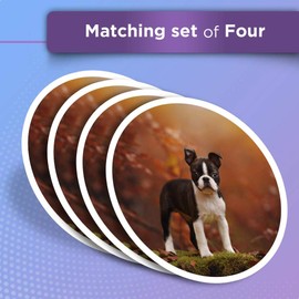 Vinyl Stickers (Set of 2) 10cm - Boston Terrier Puppy Dog Fun Decals for Laptops,Tablets,Luggage,Scrap Booking,Fridges #2705