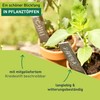 Windhager 06016 Slate with Chalk Plant Labels Plant Stakes Plant