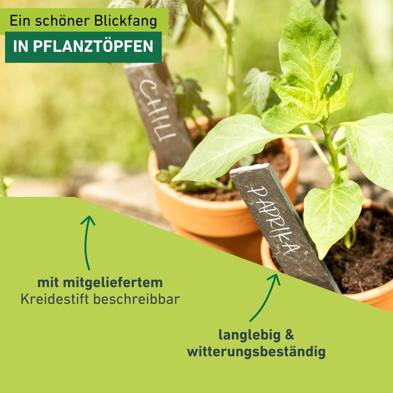Windhager 06016 Slate with Chalk Plant Labels Plant Stakes Plant