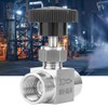 Straight Needle Valve Made of Stainless Steel BSPP Shut-Off Valve