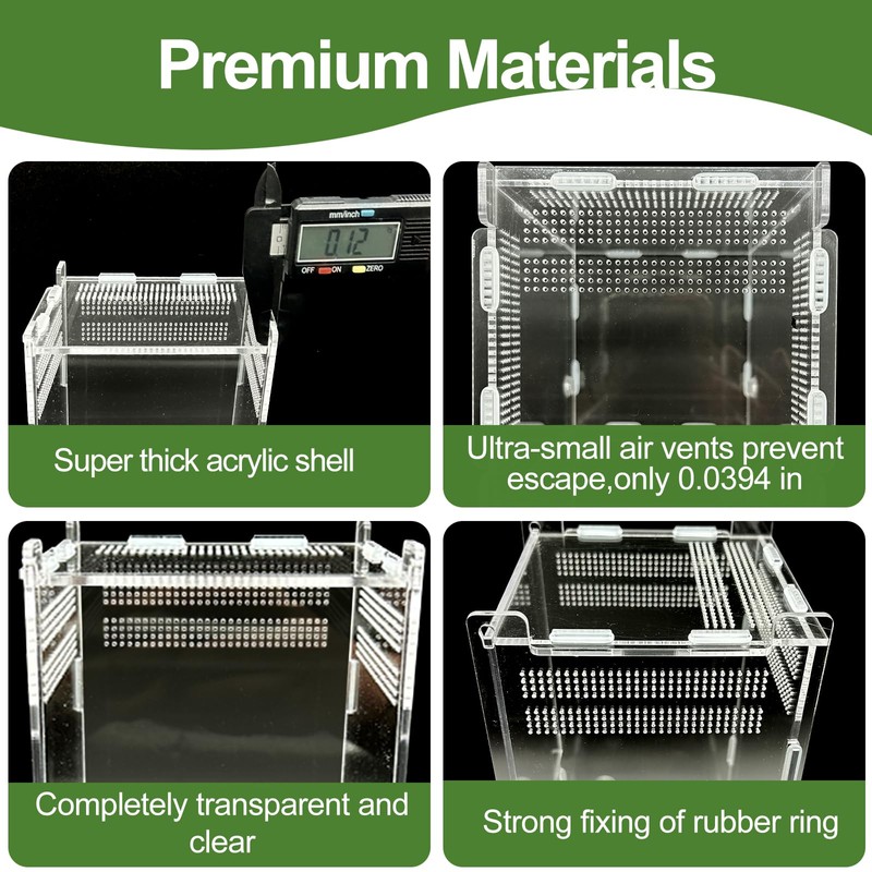 Jumping Spider Enclosure,Insects Habitat,Small Reptile Terrarium Glass House,for Spiders,Tarantulas,Snail,Mantis,Lizard and