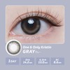 Colored Contact Lenses Hapa Kristin Hapa Kristin 1day 【Gray】One&Only Kristin