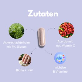 Vitalplant® Haut Haare Nägel Kapseln | Mit Biotin, Zink & Selen für Haut Haare Nägel | Kieselerde Kapseln hochdosiert | 90 Vegan Stk. | Made in Germany