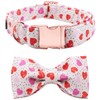 Lionet Paws Dog Collar with Bowtie, Valentine's Day Bowtie for