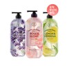 OntheBody On The Body [Option Selection] Super Botanic Body Wash 900g 3 Pieces
