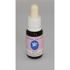 Corte PHI Essence Cinnamon Rose