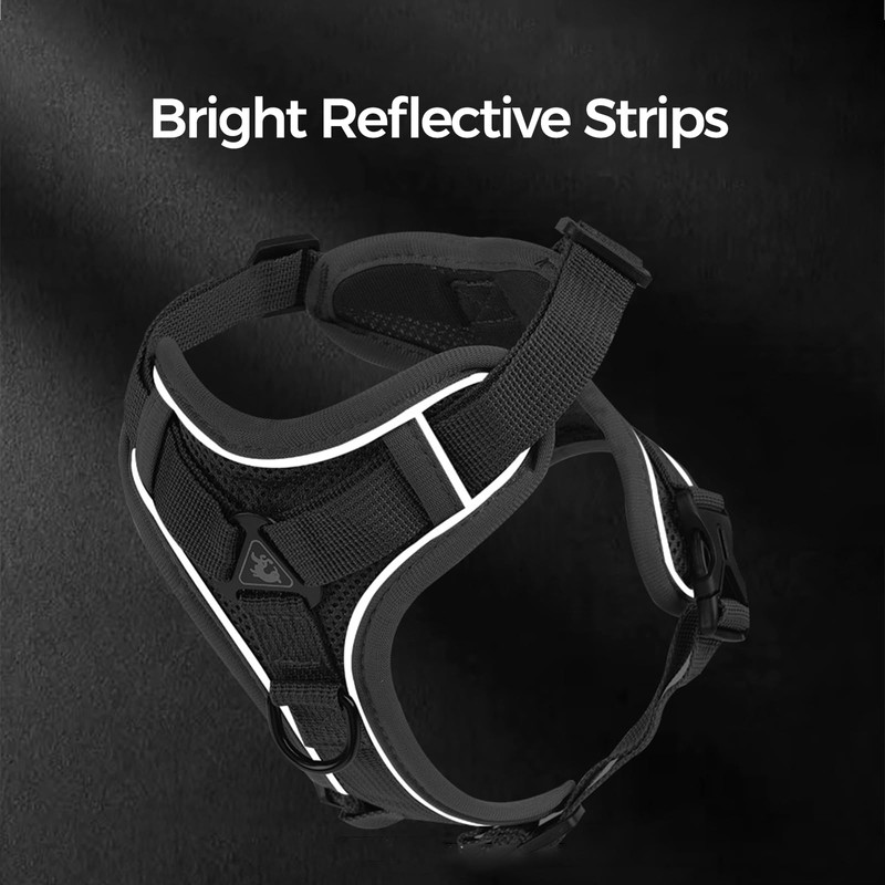 pangdi Cat Harness and Leash Set Escape Proof Tactical Large