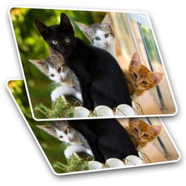 2 x 10cm Rectangle Vinyl Stickers - Cute Kittens Black Tabby Ginger Cat 24573