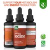 Dual-Form Natural Iodine Supplement – 675mcg (30ml) Unbound Iodine &