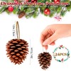 24 Pcs Christmas Pinecones Ornaments Natural Rustic Pine Cones Hanging