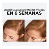 Shampoo Y 2 Serum Anticaida Loreal Aminexil Para 60 Días