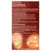 Revlon Permanent Hair Color, Permanent Hair Dye, Colorsilk with 100%