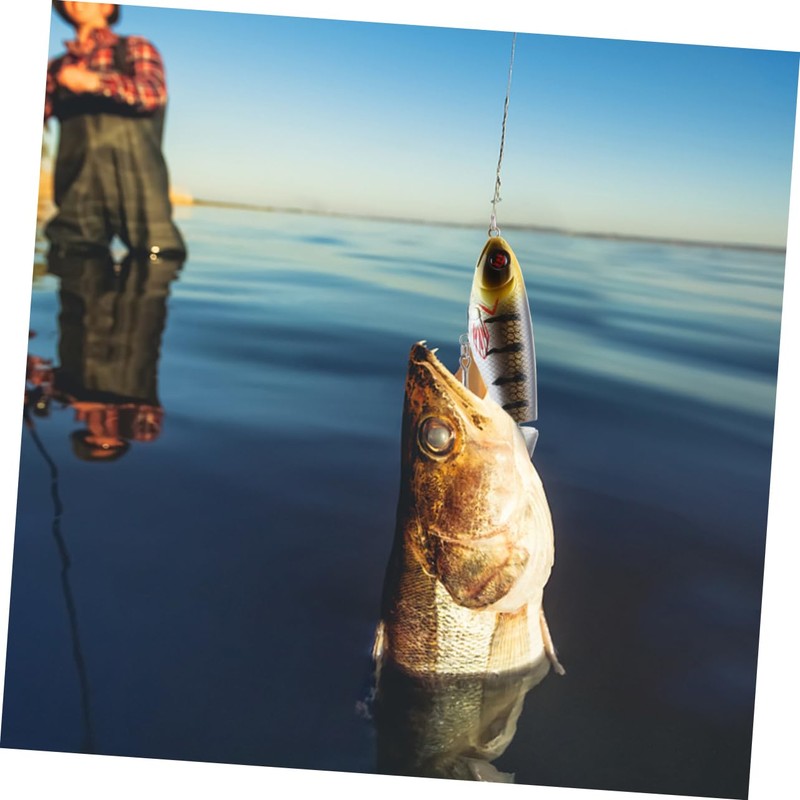 SUPVOX 2pcs Hard Bait Fishing -Like Imitation Baits for Freshwater