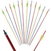 FUNTRESS 12 Pack 30 inch Aluminum Arrows with Removable Tips