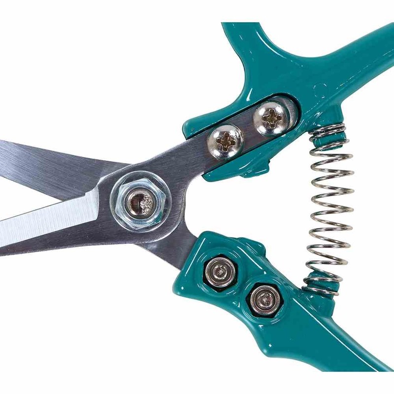 Siena Garden CG2090 Florists Scissors, Turquoise, 16.9 x 8.3 x