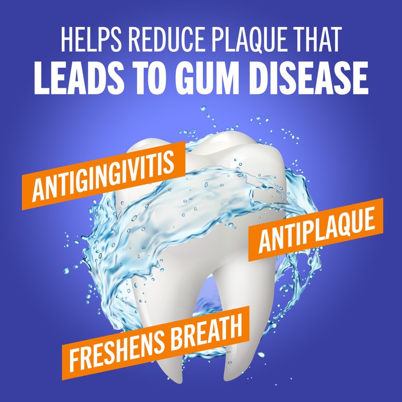 TheraBreath Healthy Gums Oral Rinse, Antigingivitis, Clean Mint Flavor, Dentist