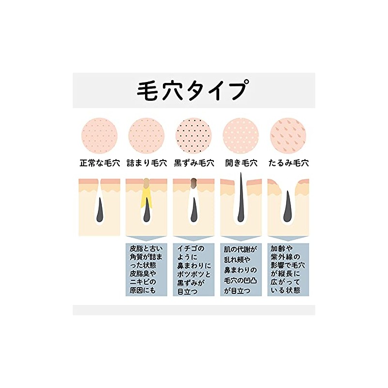 Rich Whip Brush SHINKA Deep Facial Cleansing Brush SPV71407 SHOBIDO