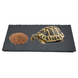 Slate Rocks for Reptiles, 11.8 x 5.9 Inch Natural Basking & Feeding Platform with Anti-Slip Pad, Reptile Landscape Habitat Decor for Bearded Dragons, Tortoise, Chameleon, Geckos (Grey)