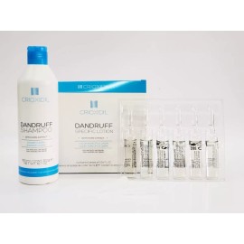 Salerm Cosmetics Tratamiento Anticaspa Profesional Shampoo+loción Especifica