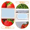 ORFOFE 4pcs Odor Remover Boxes Deodorizer for Fridge Home and