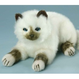 Birma-Katze naturweiß 33 cm