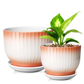 YUFDA 6.7 + 5.5 Inch Plant Pot, Ceramic Planter with Drainage and Saucer, Ceramic Pots for Plants, Indoor Plant pots,Ceramic Flower pots（Orange + White, Plants NOT Included）
