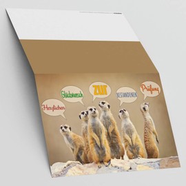 A4 XXL Greetings Card for Passing Exam Meerkat with Envelope - Elegant Folding Card Exam Passed Card for Completing BREITENWERK