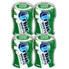 Orbit Gum White Spearmint Gum, 40 Piece Bottle (Pack of