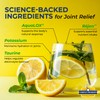 Simple Promise XentaFlex - Joint Support Electrolyte Powder with AquaLOX