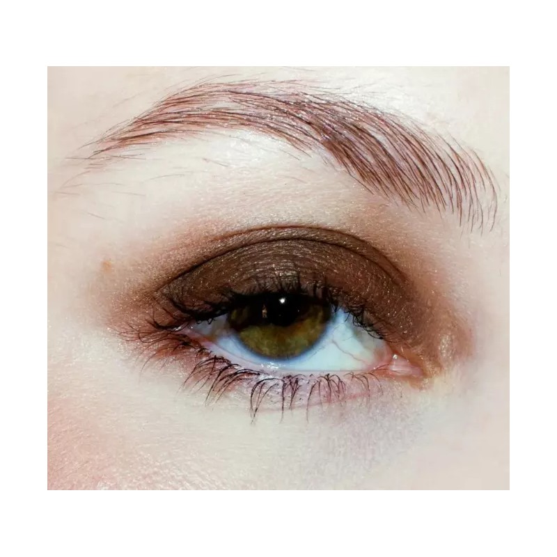 L'Oreal Infallible Paint Eyeshadow, 303 Breathtaking Brown