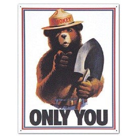 NINGFEI Smokey Bear Only You US Forest Service Fires Retro Wall Decor Metal Tin Sign 8x12in New Decorative Sign