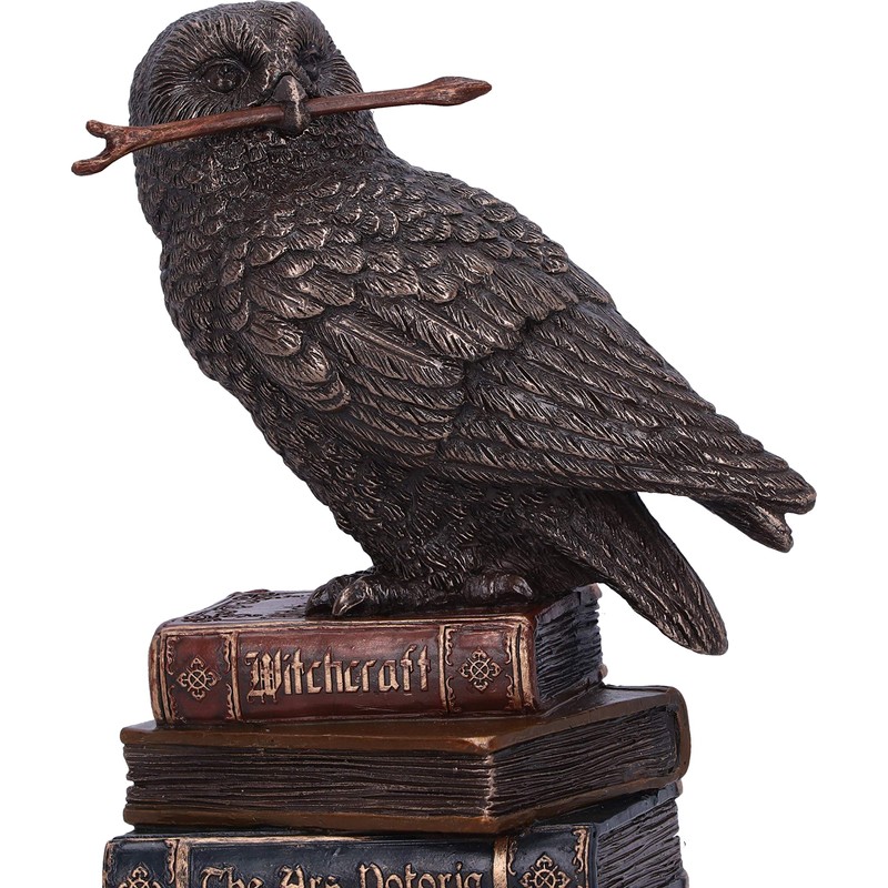 Nemesis Now Bronze Spellcraft Witches Familiar Owl on Book Figure