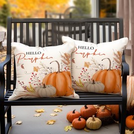 RABUSOFA Fall Decor Pillow Covers 18x18 Inch Set of 2,Hello Pumpkin Autumn Decorations Throw Pillow Covers,Farmhouse Thanksgiving Harvest Cushion Case for Home Couch Sofa Orange(14-18)