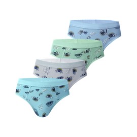 Trendy Boy Boys Cotton Briefs 4 Pack - Ultra Soft, Breathable, Multicoloured, Sizes 2-18 Years, B664, 12-14 Jahre