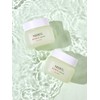 Acnic Cream 50ml + Acnic Cleansing Foam 15ml / 아크닉
