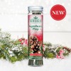 Scentsicles Christmas Scent Sticks - Pack of 6 - Snowberry