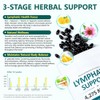 Lymphatic Drainage Supplements 4275mg - 21-in-1 Herbal Blend with Dandelion,